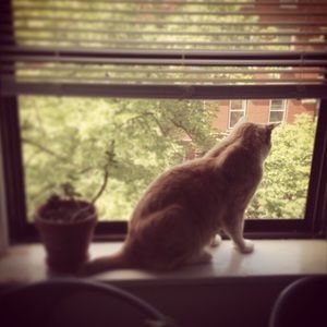 Meet your Posher, Hilary